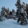 PICT0088.jpg